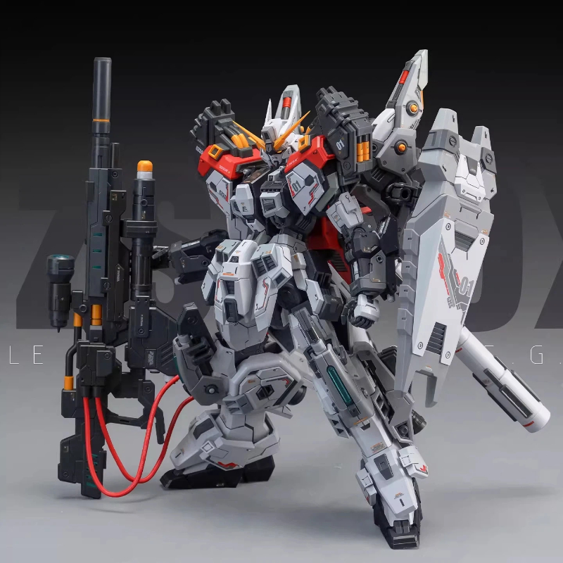 ZZA 1/100 GZSS-OX-001 Regus As - đánh giá và giá Model Kit Regus