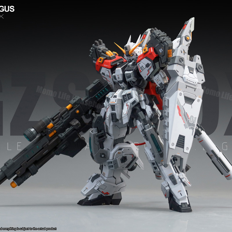 New ZZA Model 1/100 MG REGUS G - đánh giá và giá Model Kit Regus