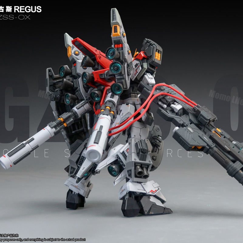 New ZZA Model 1/100 MG REGUS G - đánh giá và giá Model Kit Regus